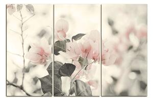Obraz na plátne - Papierové kvety 157FB (90x60 cm )