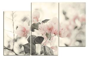 Obraz na plátne - Papierové kvety 157FD (90x60 cm)