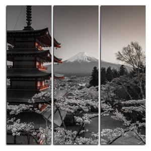 Obraz na plátne - Pohľad na horu Fuji - štvorec 361FB (75x75 cm)