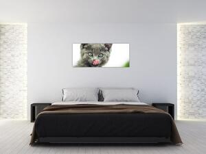 Obraz oblizujícího sa mačiatka (120x50 cm)