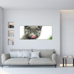 Obraz oblizujícího sa mačiatka (120x50 cm)