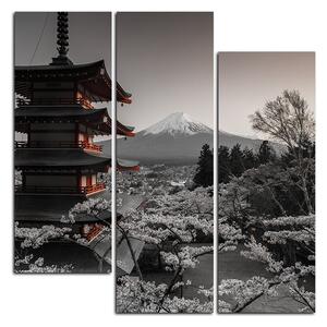 Obraz na plátne - Pohľad na horu Fuji - štvorec 361FC (75x75 cm)