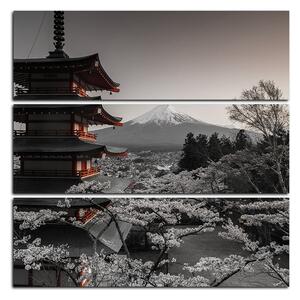 Obraz na plátne - Pohľad na horu Fuji - štvorec 361FD (75x75 cm)