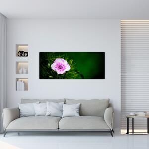 Obraz ružového kvetu (120x50 cm)