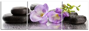 Obraz na plátne - Lávové kamene a fialové kvety - panoráma 563C (150x50 cm)