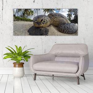 Obraz korytnačky (120x50 cm)