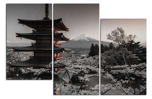 Obraz na plátne - Pohľad na horu Fuji 161FC (150x100 cm)