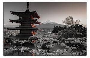 Obraz na plátne - Pohľad na horu Fuji 161FA (120x80 cm)