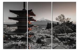 Obraz na plátne - Pohľad na horu Fuji 161FB (90x60 cm )