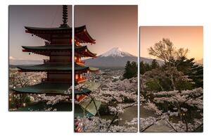 Obraz na plátne - Pohľad na horu Fuji 161C (120x80 cm)