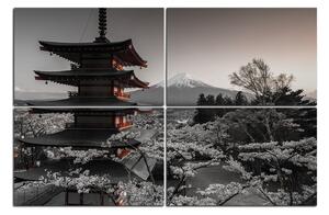 Obraz na plátne - Pohľad na horu Fuji 161FD (90x60 cm)