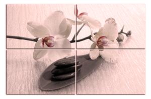 Obraz na plátne - Kvety orchidei 162FC (150x100 cm)