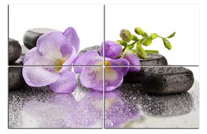 Obraz na plátne - Lávové kamene a fialové kvety 163D (150x100 cm)