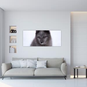 Obraz snežné líšky (120x50 cm)
