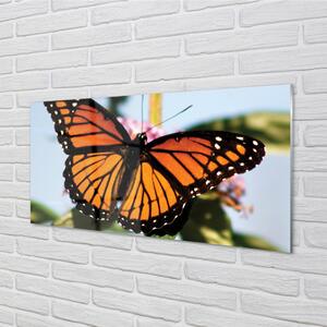 Nástenný panel  farebný motýľ 100x50 cm