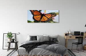 Sklenený obraz farebný motýľ 140x70 cm 2 Prívesky