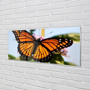 Sklenený obraz farebný motýľ 120x60 cm 4 Prívesky