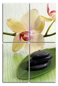 Obraz na plátne - Kvety orchidei - obdĺžnik 762D (90x60 cm)