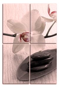 Obraz na plátne - Kvety orchidei - obdĺžnik 762FD (120x80 cm)