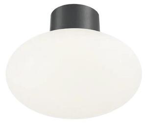 Ideal Lux - Vonkajšie stropné svietidlo CLIO 1xE27/42W/230V IP44 antracit