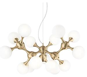Ideal Lux - Luster na lane NODI 15xE14/28W/230V pr. 105 cm mosadz/biela
