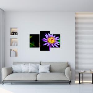 Obraz kvetu (90x60 cm)