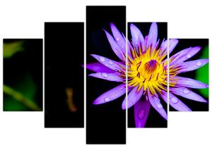 Obraz kvetu (150x105 cm)