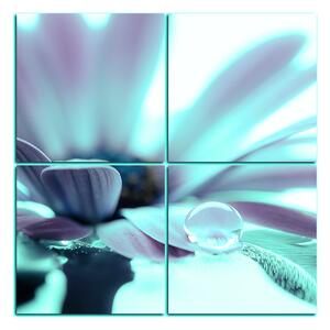 Obraz na plátne - Kvapka rosy na lúpeňoch kvetu - štvorec 380FD (60x60 cm)