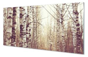 Nástenný panel  stromy 100x50 cm