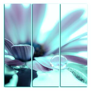 Obraz na plátne - Kvapka rosy na lúpeňoch kvetu - štvorec 380FB (75x75 cm)