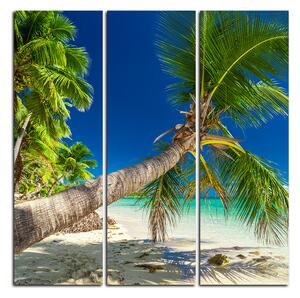 Obraz na plátne - Pláž s palmami - štvorec 384B (75x75 cm)