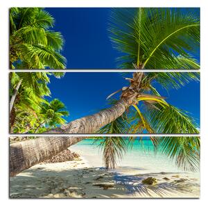 Obraz na plátne - Pláž s palmami - štvorec 384C (75x75 cm)