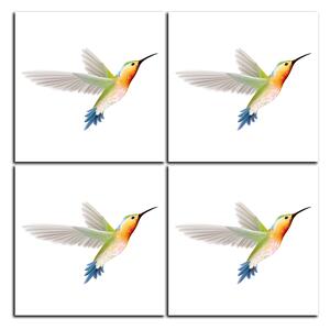 Obraz na plátne - Kolibrík na bielom pozadí - štvorec 389B (60x60 cm)
