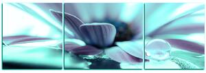 Obraz na plátne - Kvapka rosy na lúpeňoch kvetu - panoráma 580FC (150x50 cm)