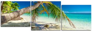 Obraz na plátne - Pláž s palmami - panoráma 584D (120x40 cm)