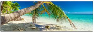 Obraz na plátne - Pláž s palmami - panoráma 584A (105x35 cm)