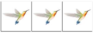 Obraz na plátne - Kolibrík na bielom pozadí - panoráma 589A (150x50 cm)