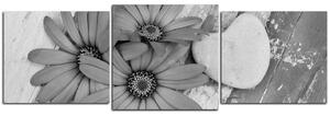 Obraz na plátne - Kvety a kamenné srdce - panoráma 583QD (150x50 cm)