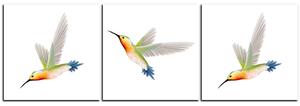 Obraz na plátne - Kolibrík na bielom pozadí - panoráma 589C (90x30 cm)