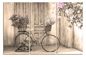 Obraz na plátne - Pristavený bicykel s kvetmi 174FB (90x60 cm )