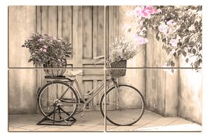 Obraz na plátne - Pristavený bicykel s kvetmi 174FC (90x60 cm)