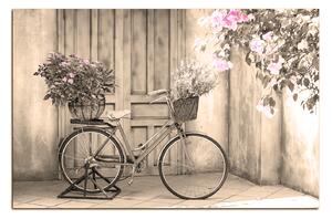 Obraz na plátne - Pristavený bicykel s kvetmi 174FA (90x60 cm )