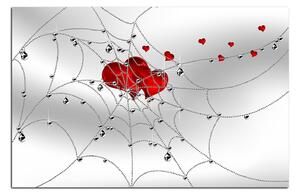 Obraz na plátne - Srdce v striebornej pavučine 178A (60x40 cm)