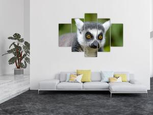 Obraz lemura (150x105 cm)