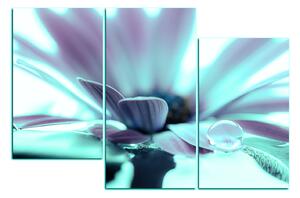 Obraz na plátne - Kvapka rosy na lúpeňoch kvetu 180FC (90x60 cm)