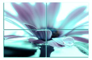 Obraz na plátne - Kvapka rosy na lúpeňoch kvetu 180FD (120x80 cm)