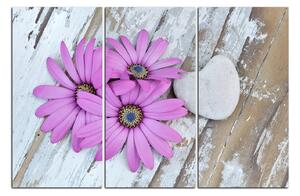 Obraz na plátne - Kvety a kamenné srdce 183B (90x60 cm )