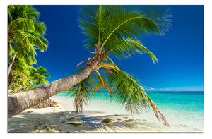 Obraz na plátne - Pláž s palmami 184A (60x40 cm)