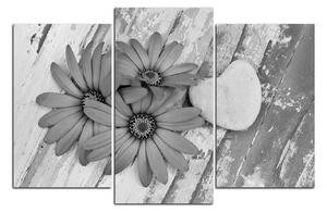 Obraz na plátne - Kvety a kamenné srdce 183QC (150x100 cm)