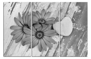 Obraz na plátne - Kvety a kamenné srdce 183QB (120x80 cm)